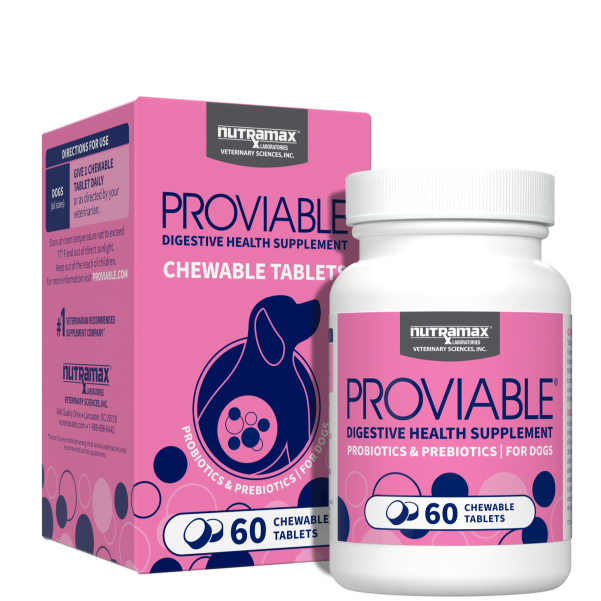 Bottle of Proviable-DC 60 chewable tablets for dogs